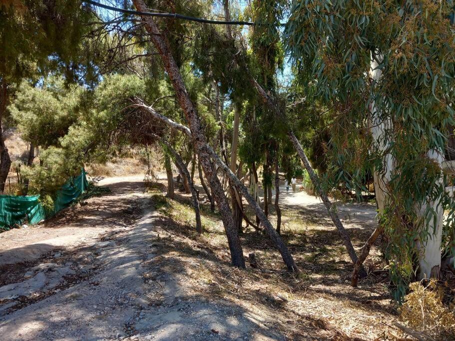 Acogedor Bungalow Adosado El Campello Buitenkant foto